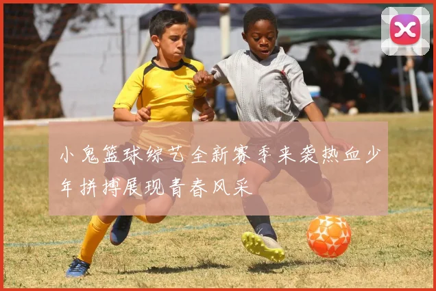 小鬼篮球综艺全新赛季来袭热血少年拼搏展现青春风采